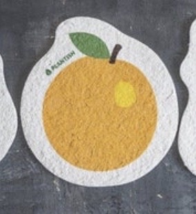 Plantish - Pop Up Sponges plastic-free - image 5