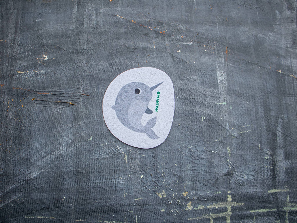 Plantish - Pop Up Sponges plastic-free - image 9