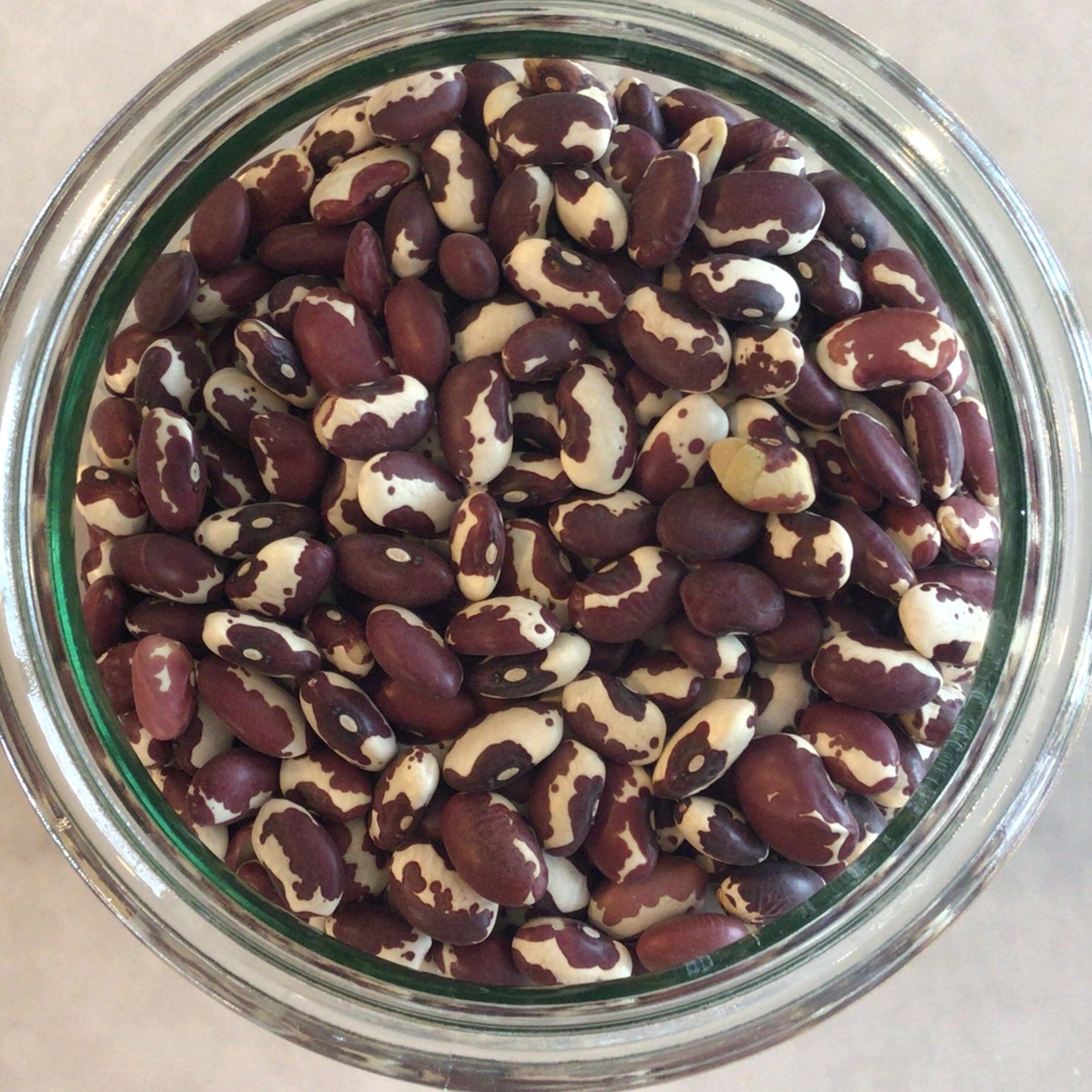 Beans, Anasazi, LOCAL BBANASAZI01 Squeaky Green Organics Beans, Anasazi, LOCAL
