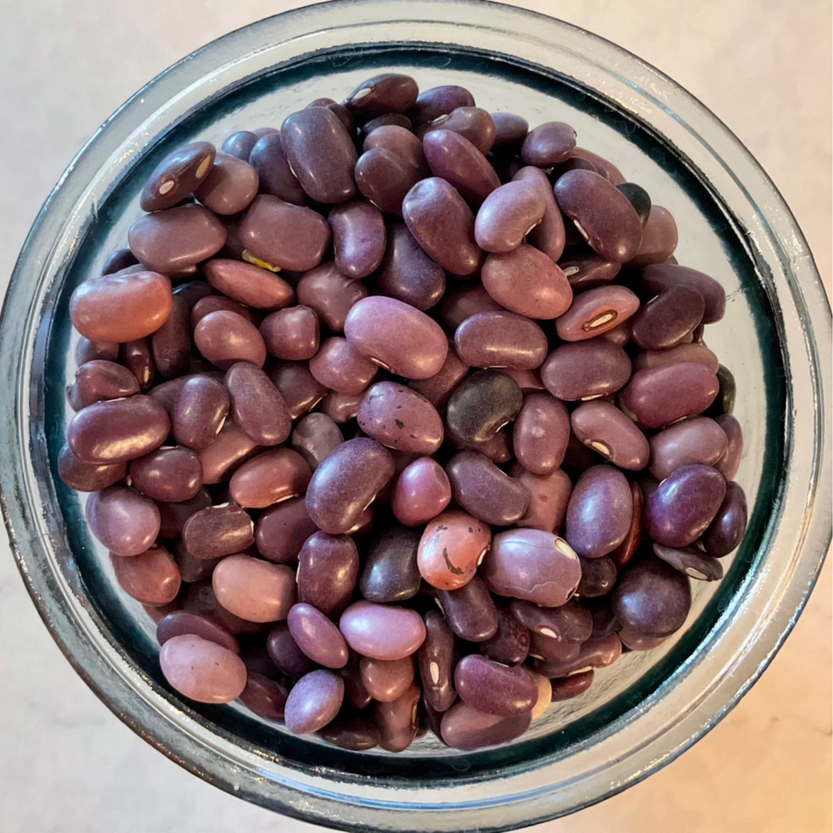 Masienda Beans, Ayocote Morado, Heirloom, Glyphosate-Free organic certified