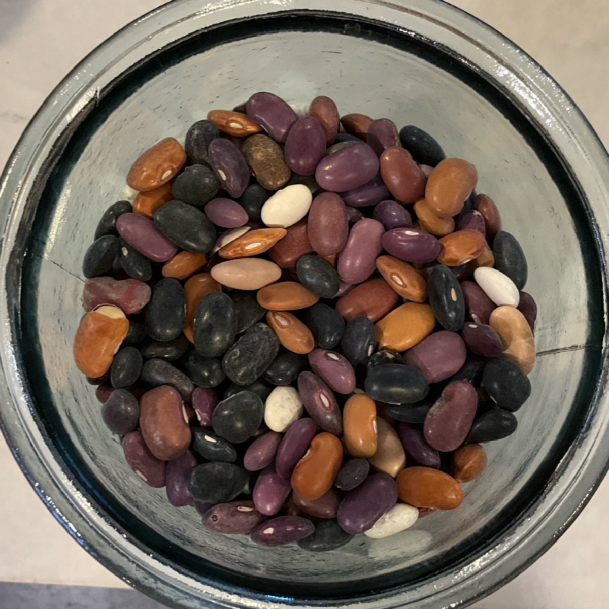 Masienda Beans, Ayocote Pinto, Heirloom, Glyphosate-Free organic certified