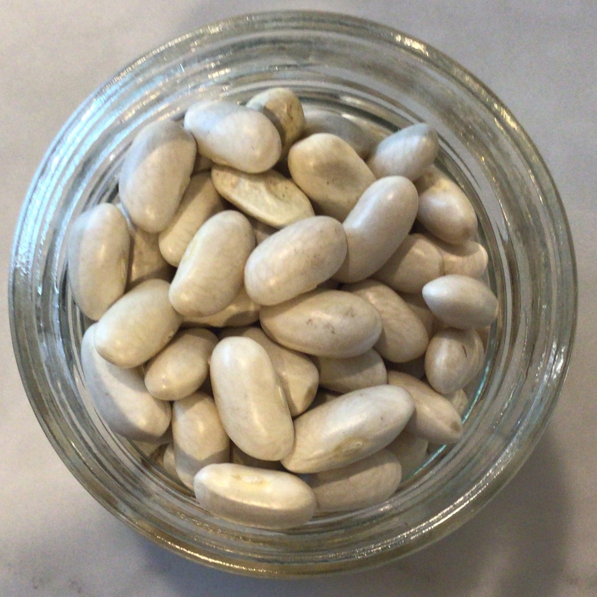 Azure Standard Beans, Cannellini great northern or white navy beans