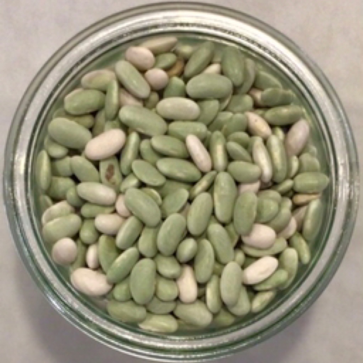 Hummingbird Organics Beans, French Flageolet