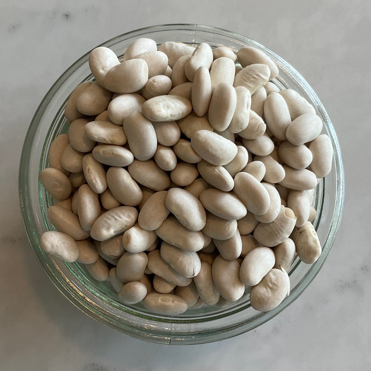 Hummingbird Wholesale Beans, Great Northern, White