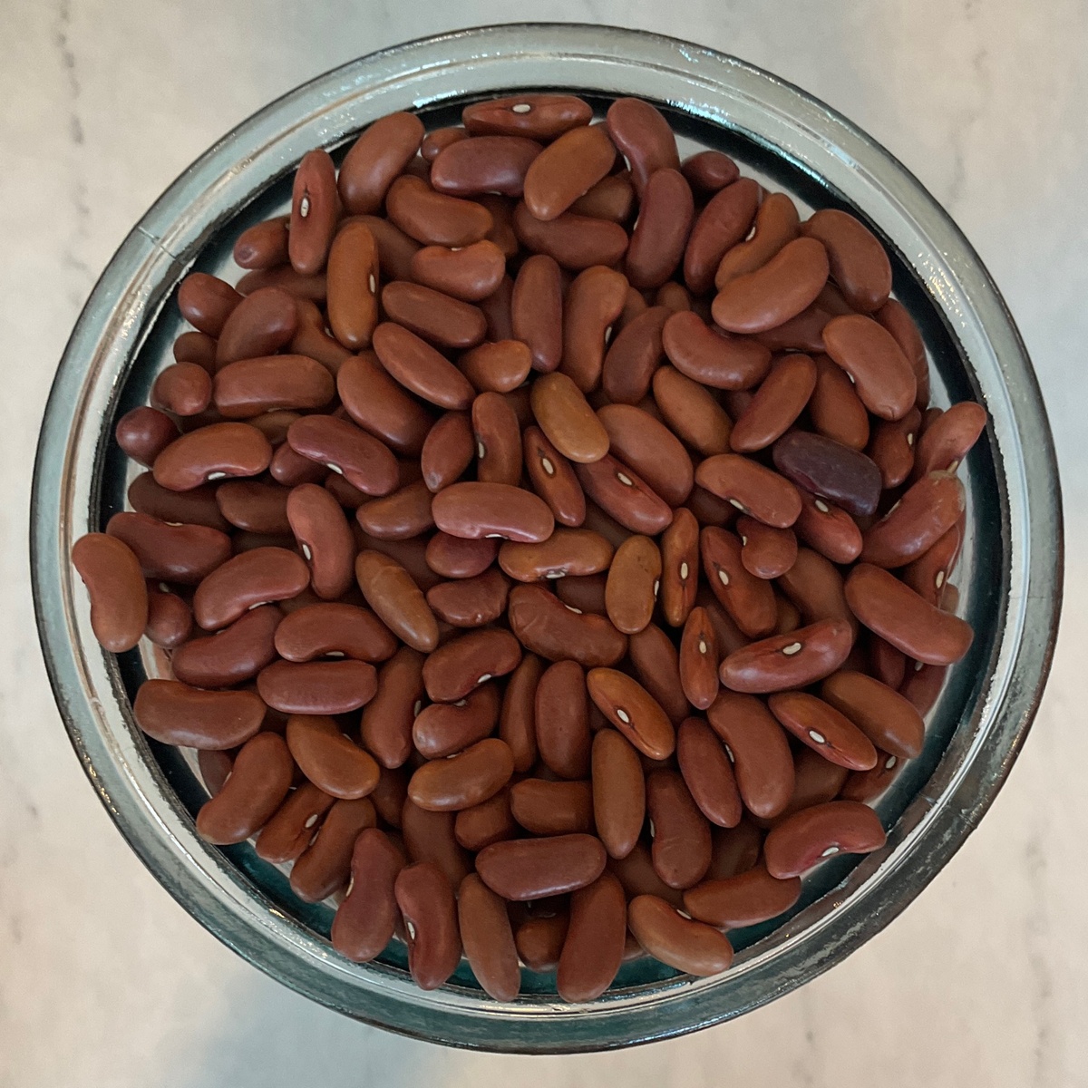 Iowa Food Hub Beans, Kidney, Local