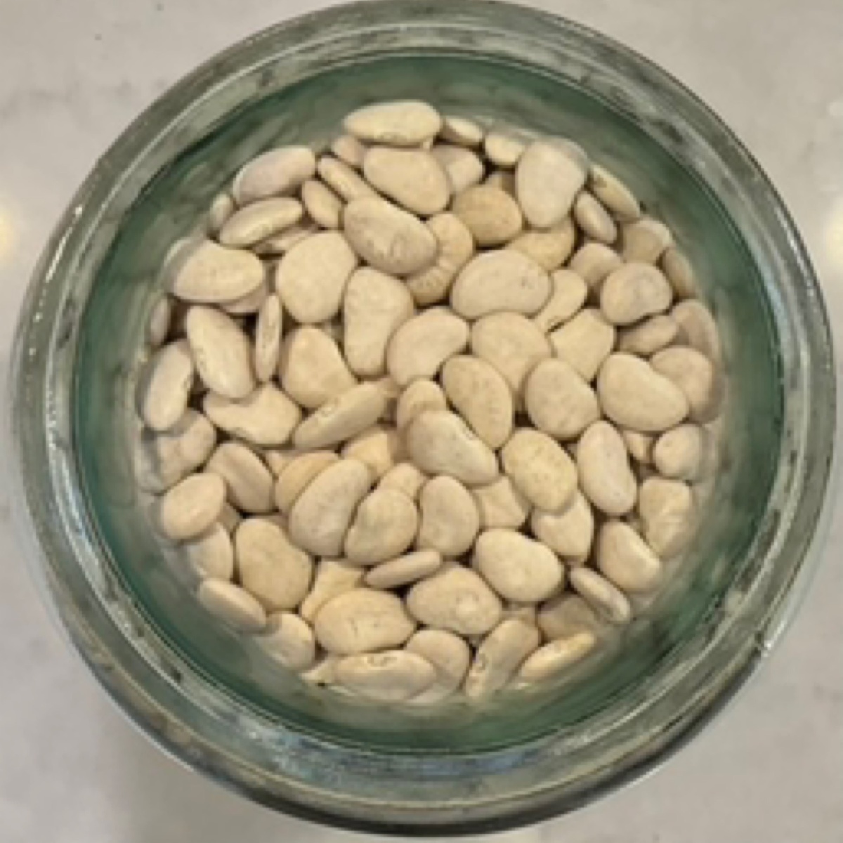 Azure Standard Beans, Large Lima