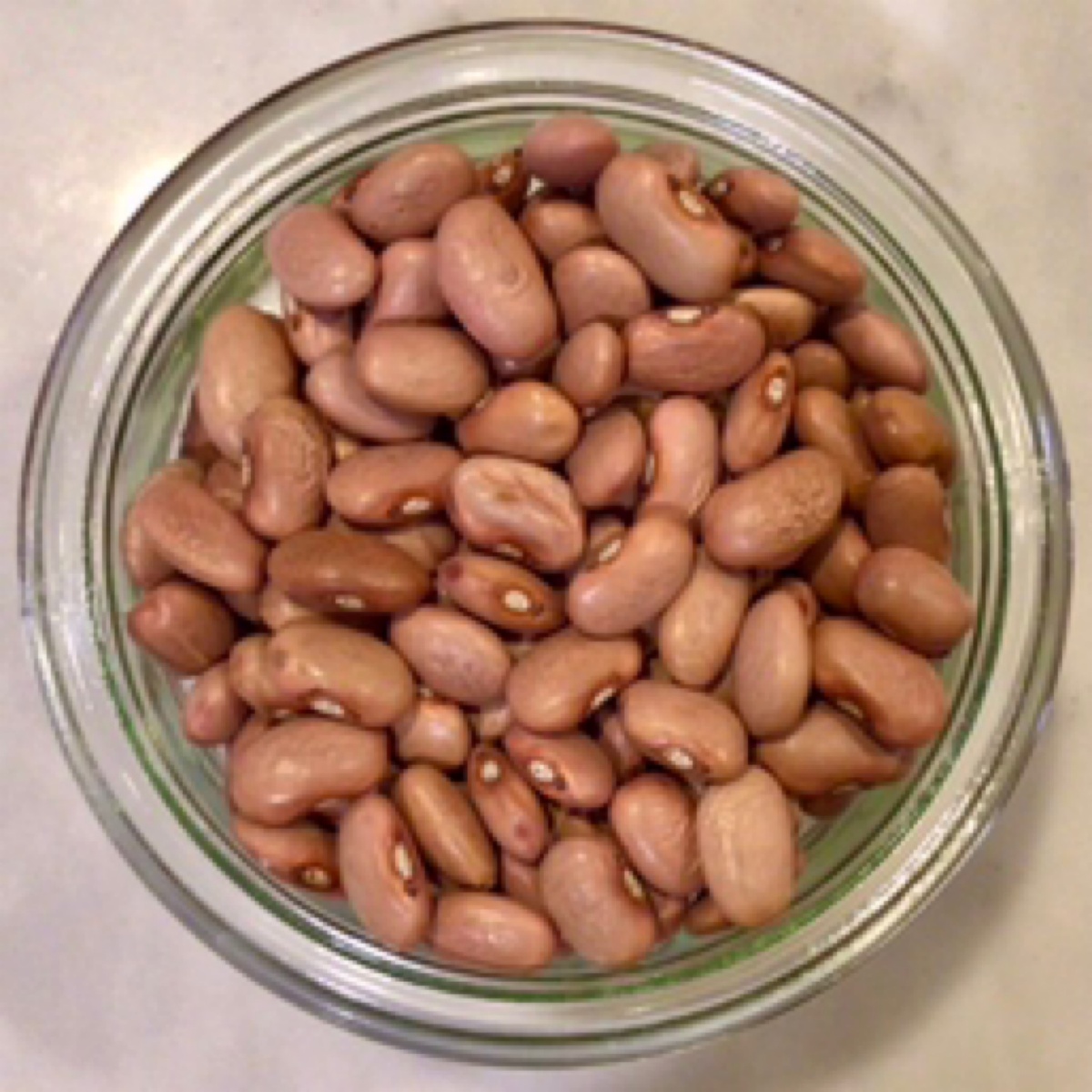 Azure Standard Beans, Pink