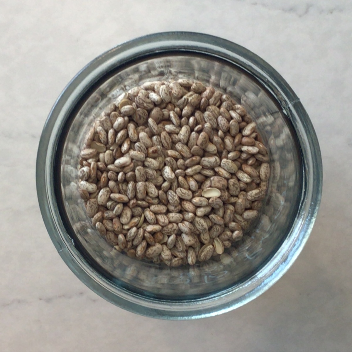 Azure Standard Beans, Pinto