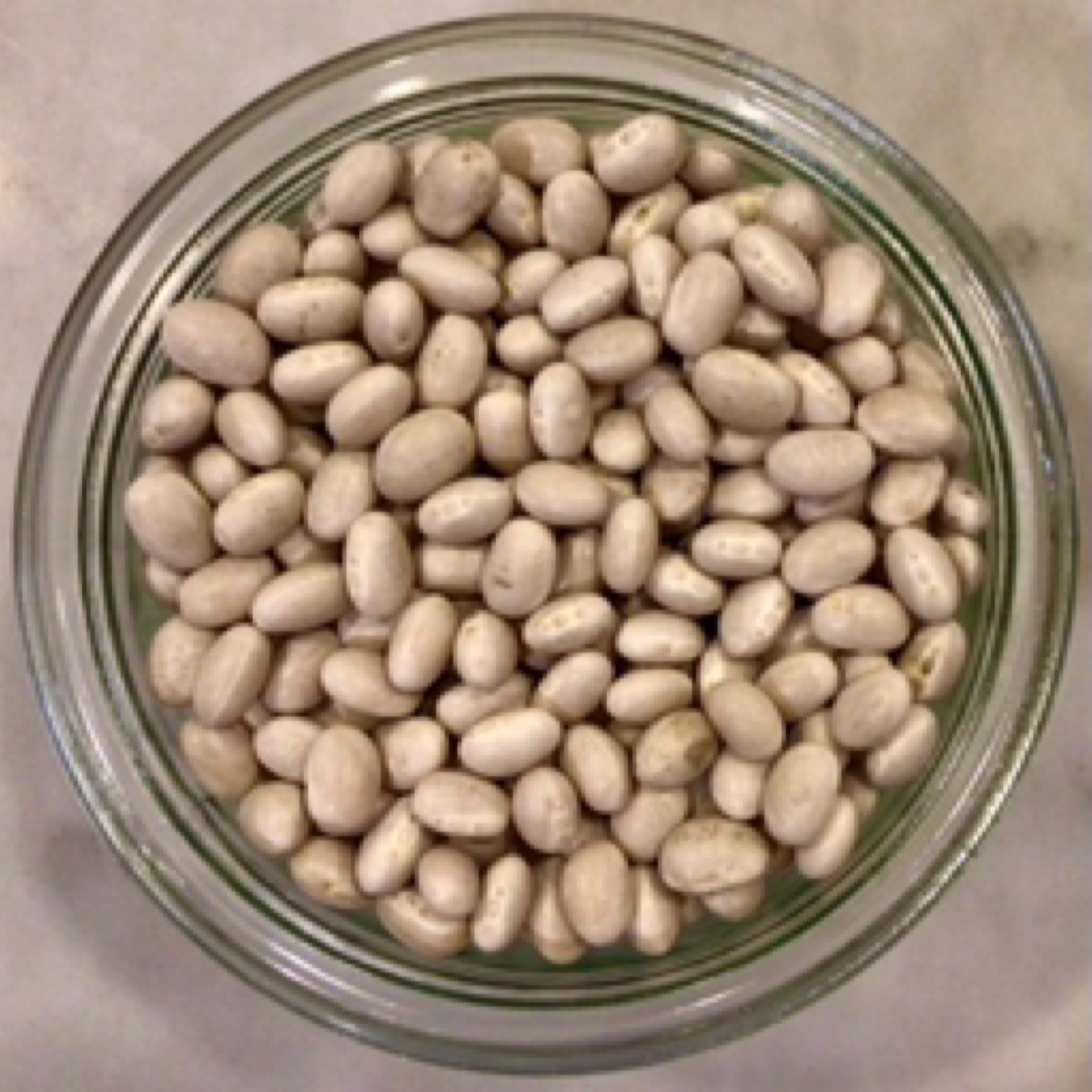 Azure Standard Beans, Small White, Navy plant-based