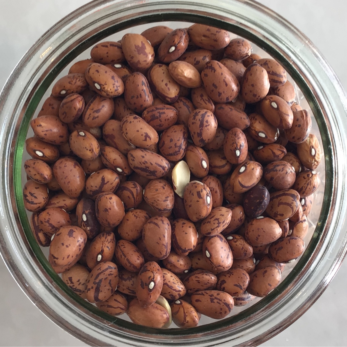 Squeaky Green Organics Beans, "Tongue Of Fire", LOCAL