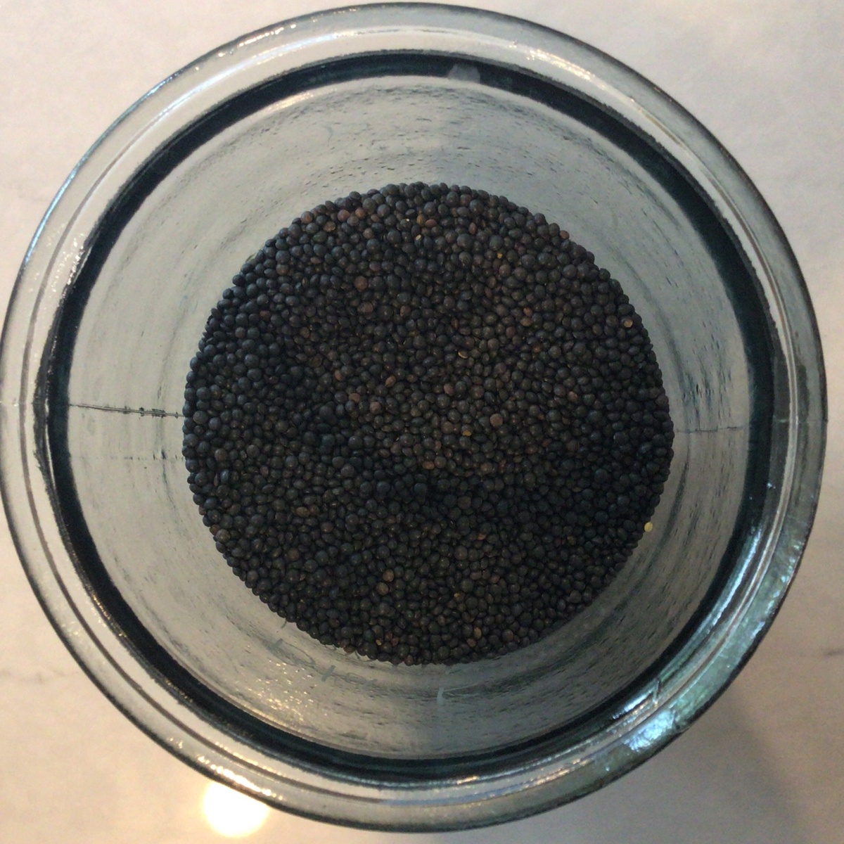 Avena Foods Lentils, Black