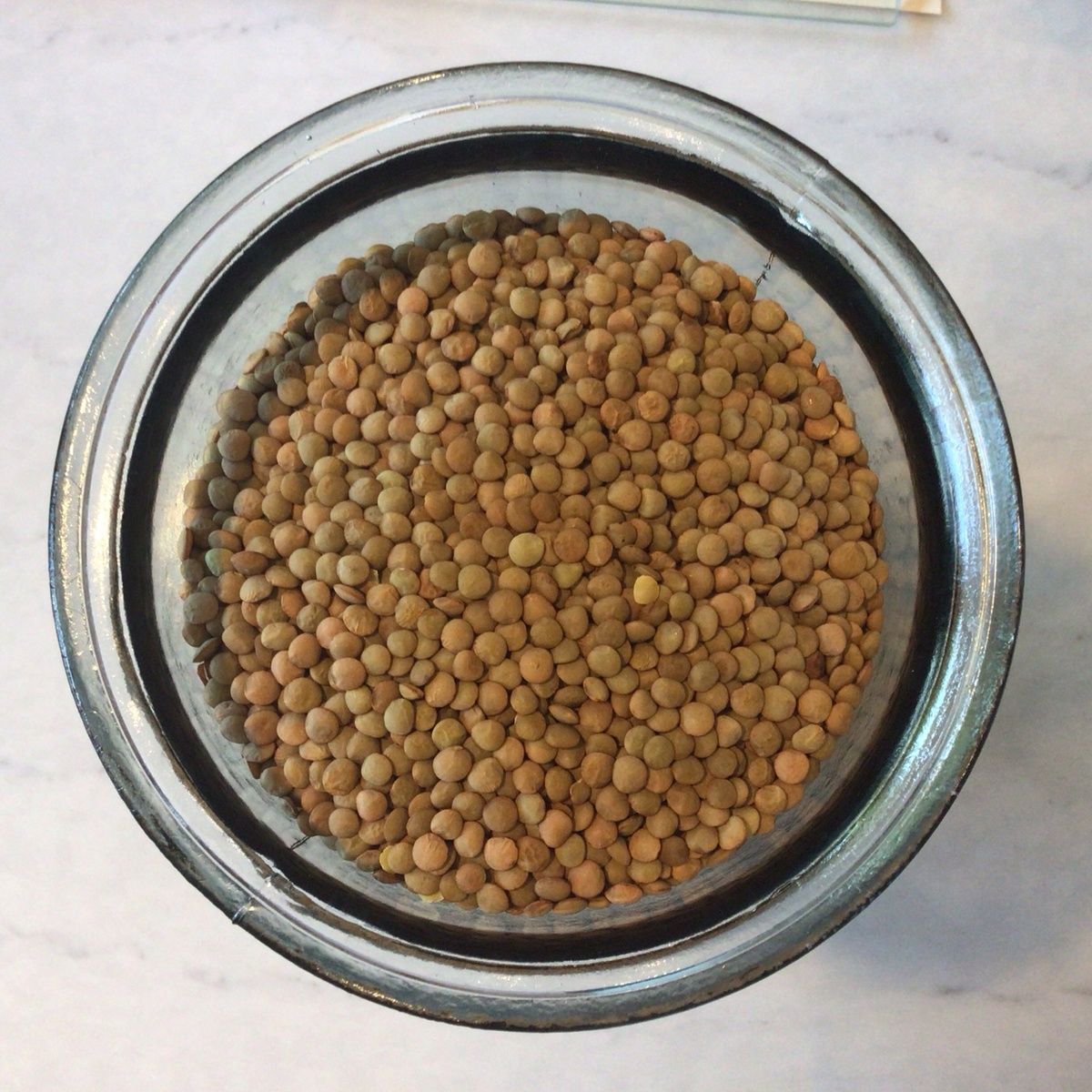 Eden Foods Lentils, Green, Eden Foods