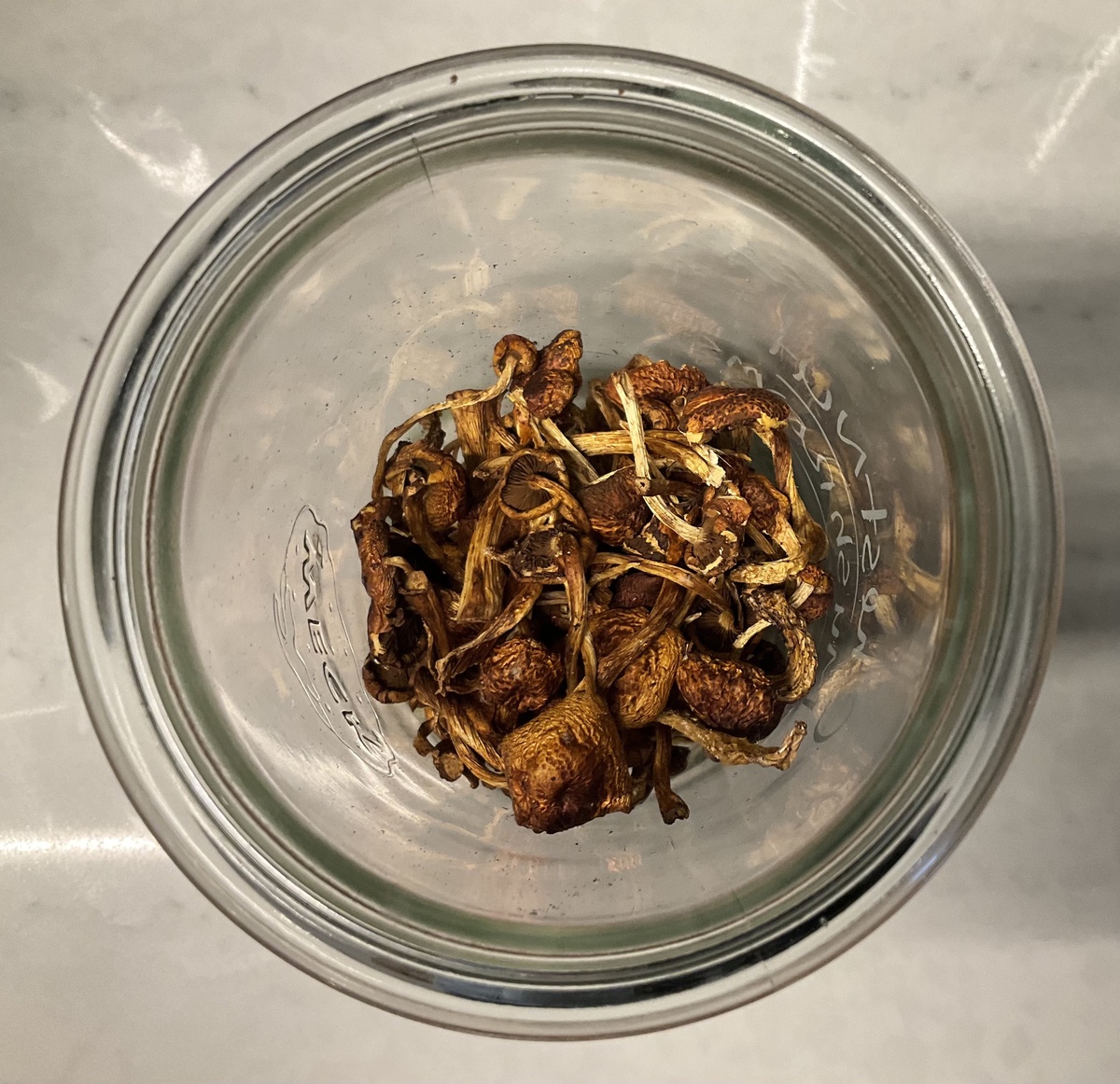 Mushrooms , Chestnut, Local, House-Dried ($8.5/oz)