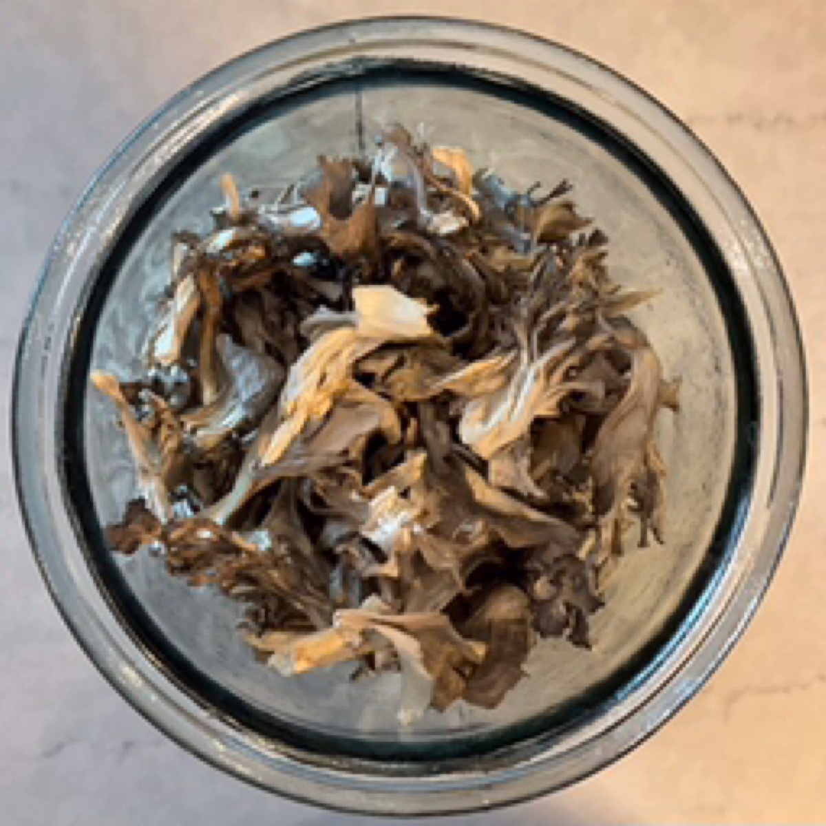 Forest Mushrooms Mushrooms, Hen of the Woods, Maitake, Dried ($5/oz) plant-based