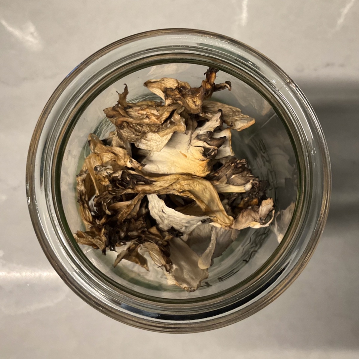 exist green Mushrooms, Hen of the Woods, Maitake, Local, House-Dried ($23/oz)