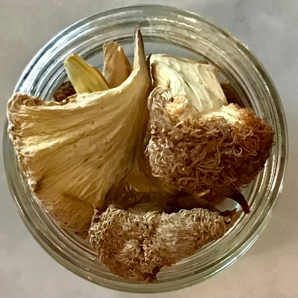 exist green Mushrooms, Lions Mane, Pieces, House-Dried ($10.5/oz)