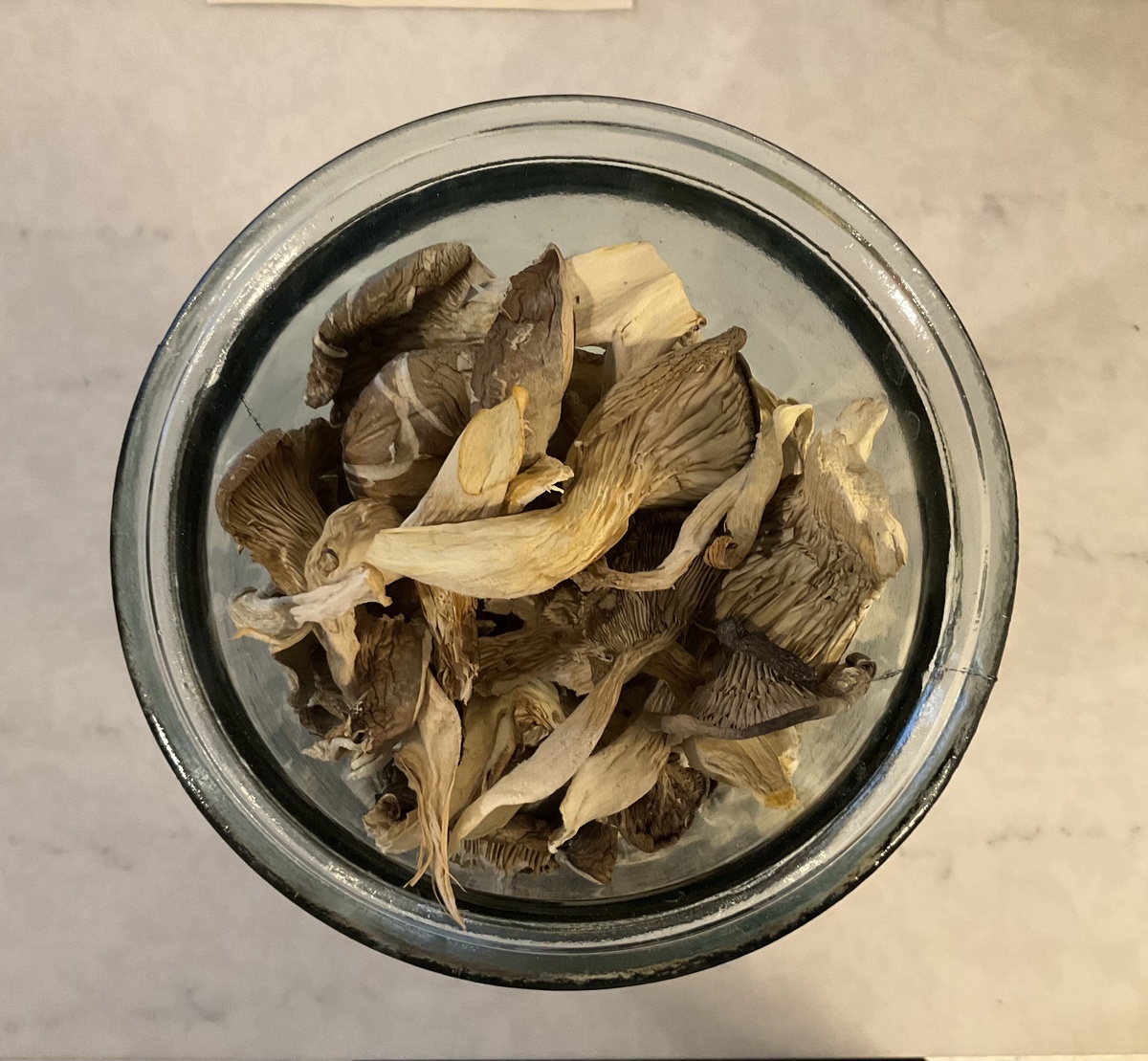exist green Mushrooms, Oyster, Local, House-Dried ($5/oz)