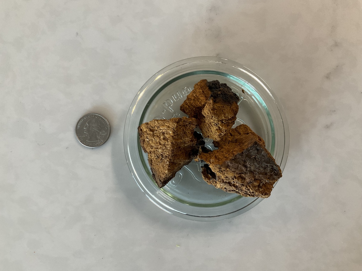 Forest Mushrooms Chaga, Large Pieces, Dried, USA ($4.1/oz)