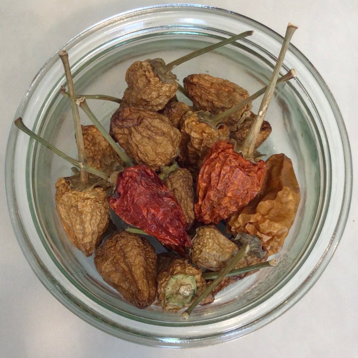 exist green Peppers, Spicy Chinese Five Color, Dried ($4/oz)