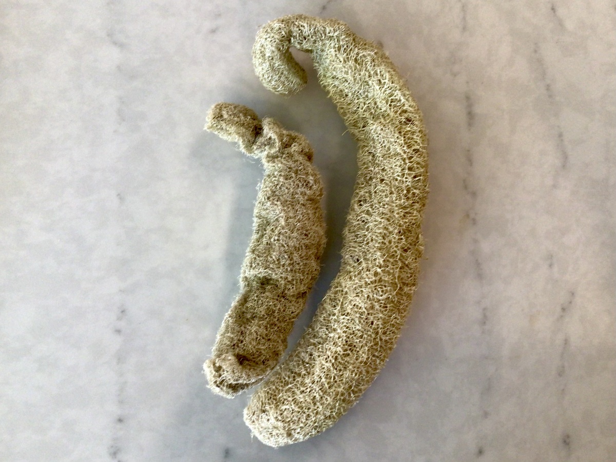 Unbranded – Whole Unbleached Loofahs
