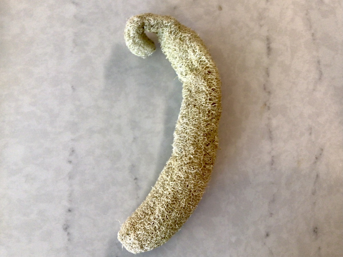 Unbranded - Whole Unbleached Loofahs - image 2