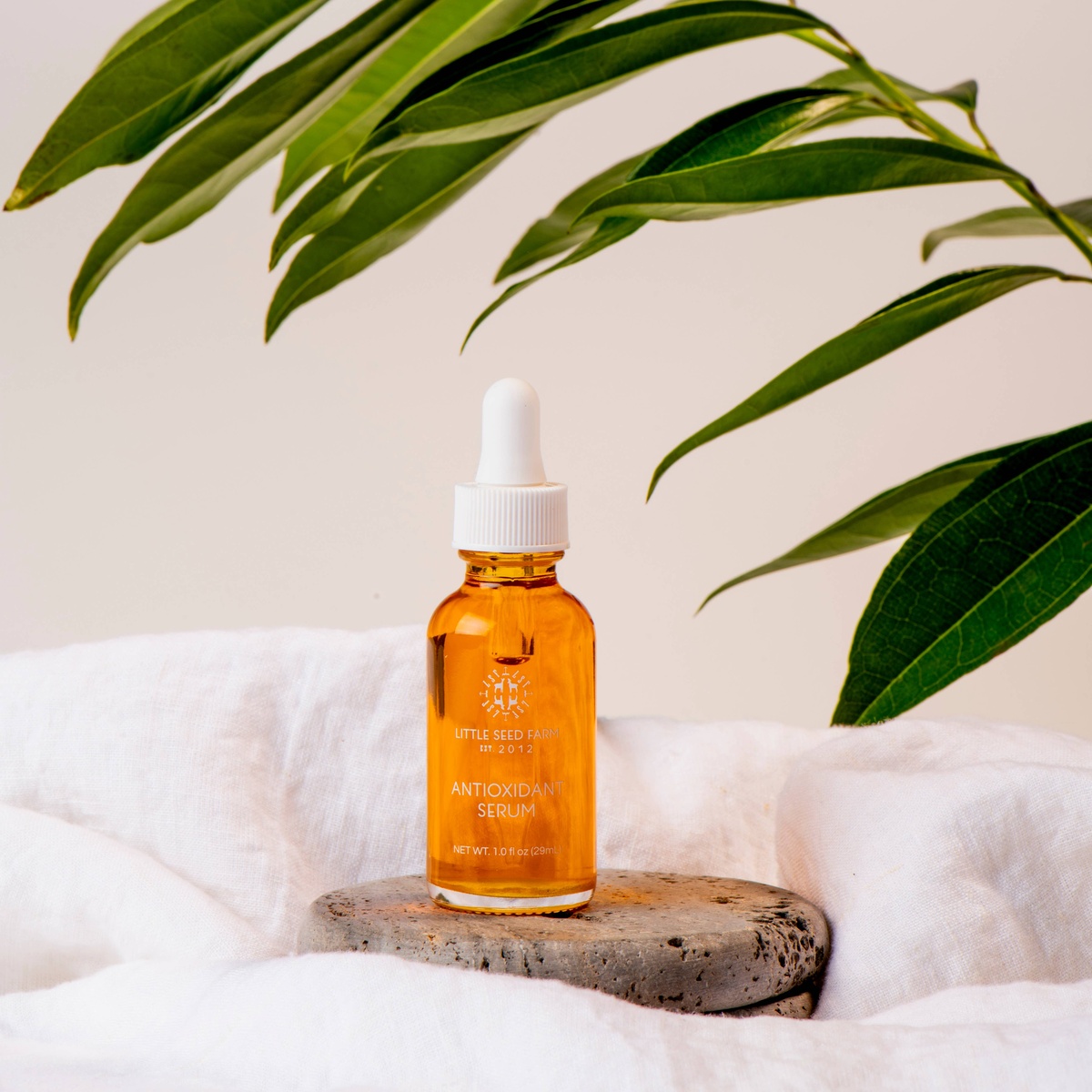 Little Seed Farm - Antioxidant Serum - image 5