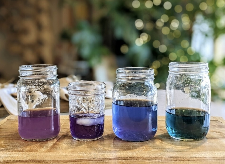Two Hills Tea Butterfly Pea Flowers, Dried ($6.5/oz) - image 2