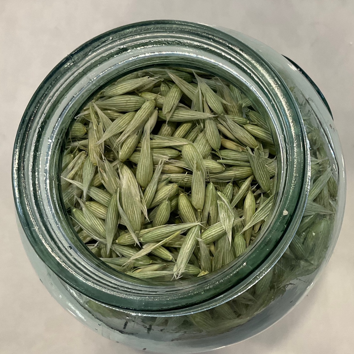 Mountain Rose Herbs Oat Tops, "Milky Oats" ($4.7/oz)