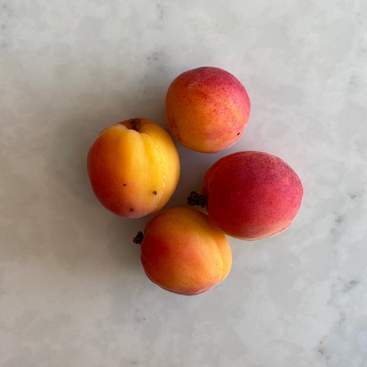 Azure Standard Apricots, Fresh, Organic (Oregon)