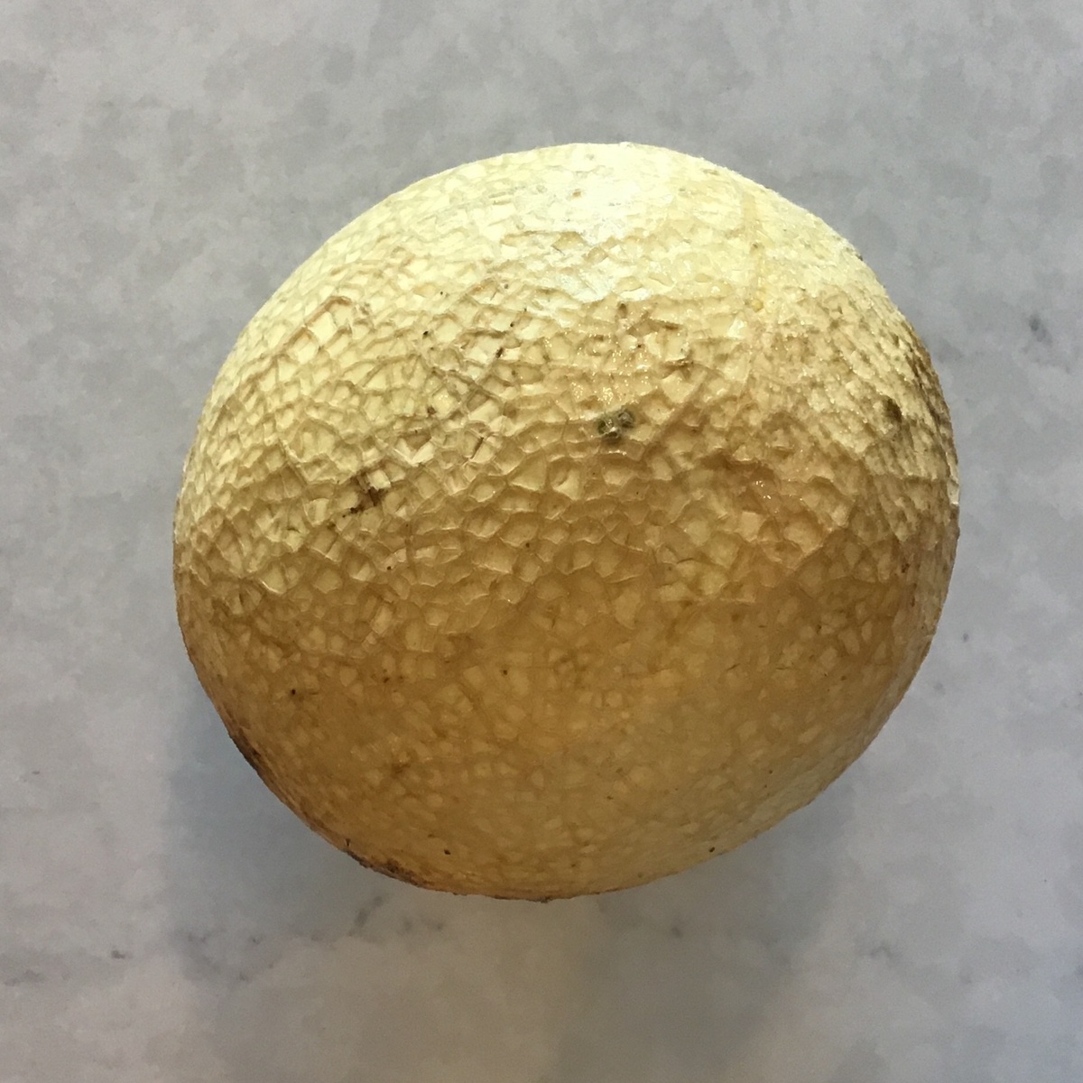 Pekarek's Porduce Cantaloupe