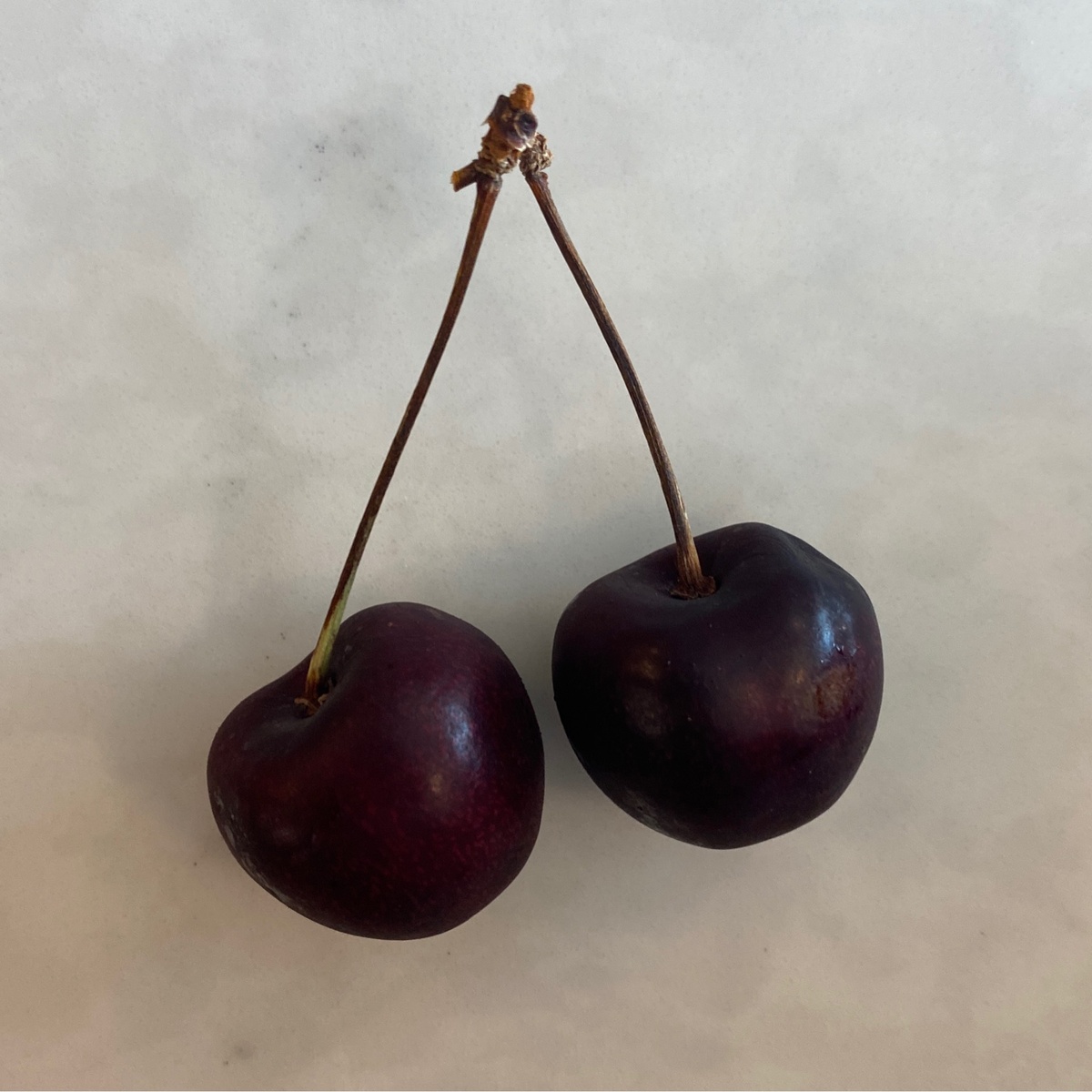 Azure Standard Cherries, Bing