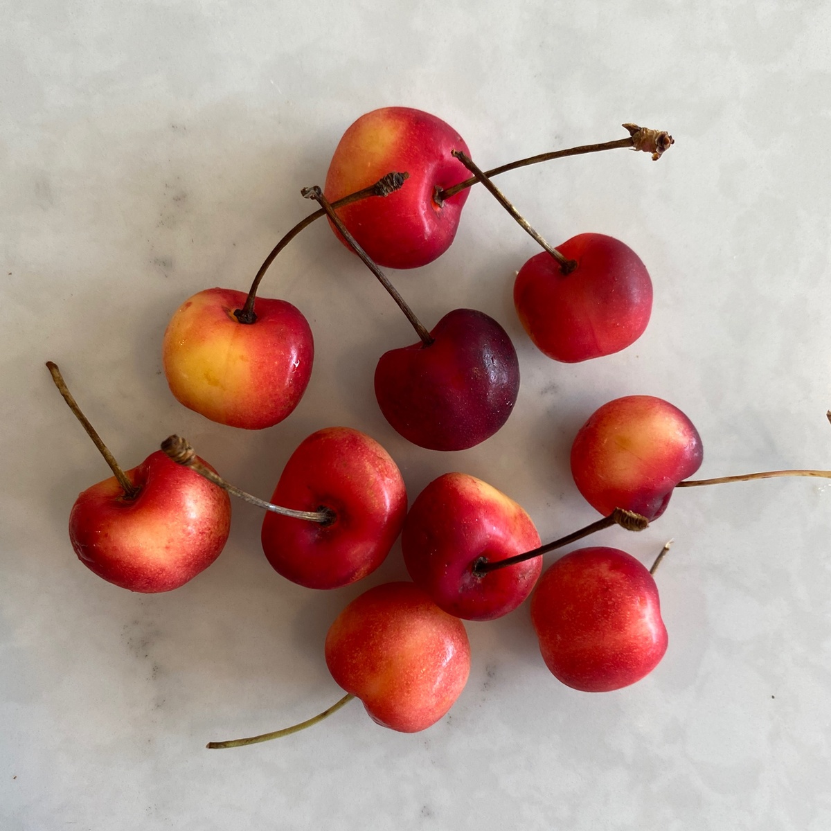 Cherries , Ranier ,Organic