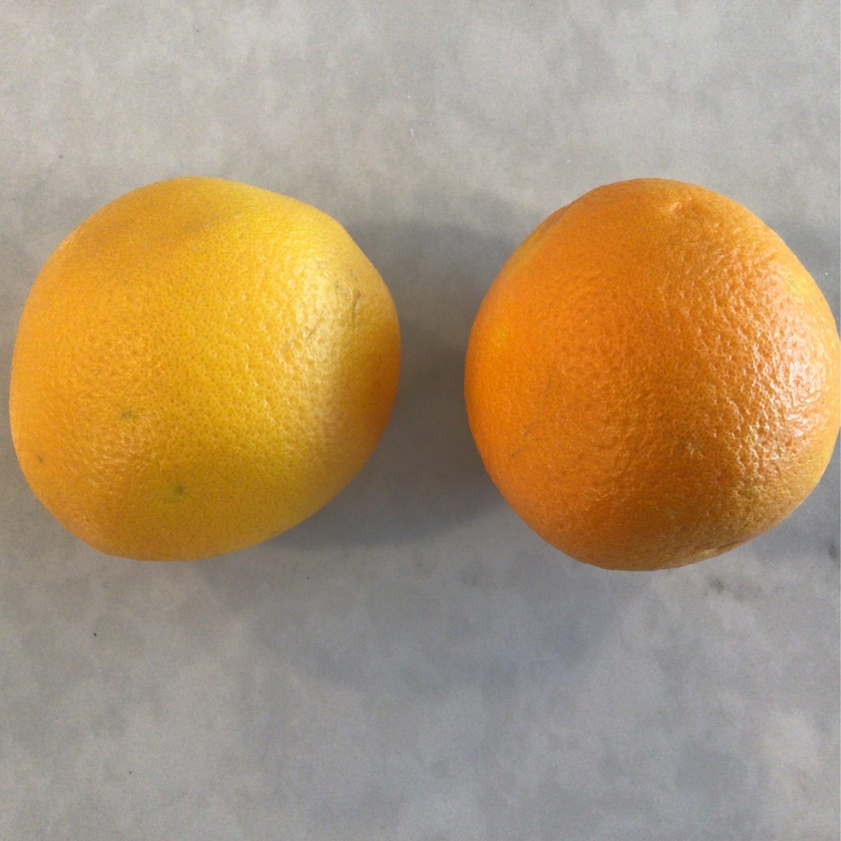 Azure Standard Citrus, Navel Oranges, Organic