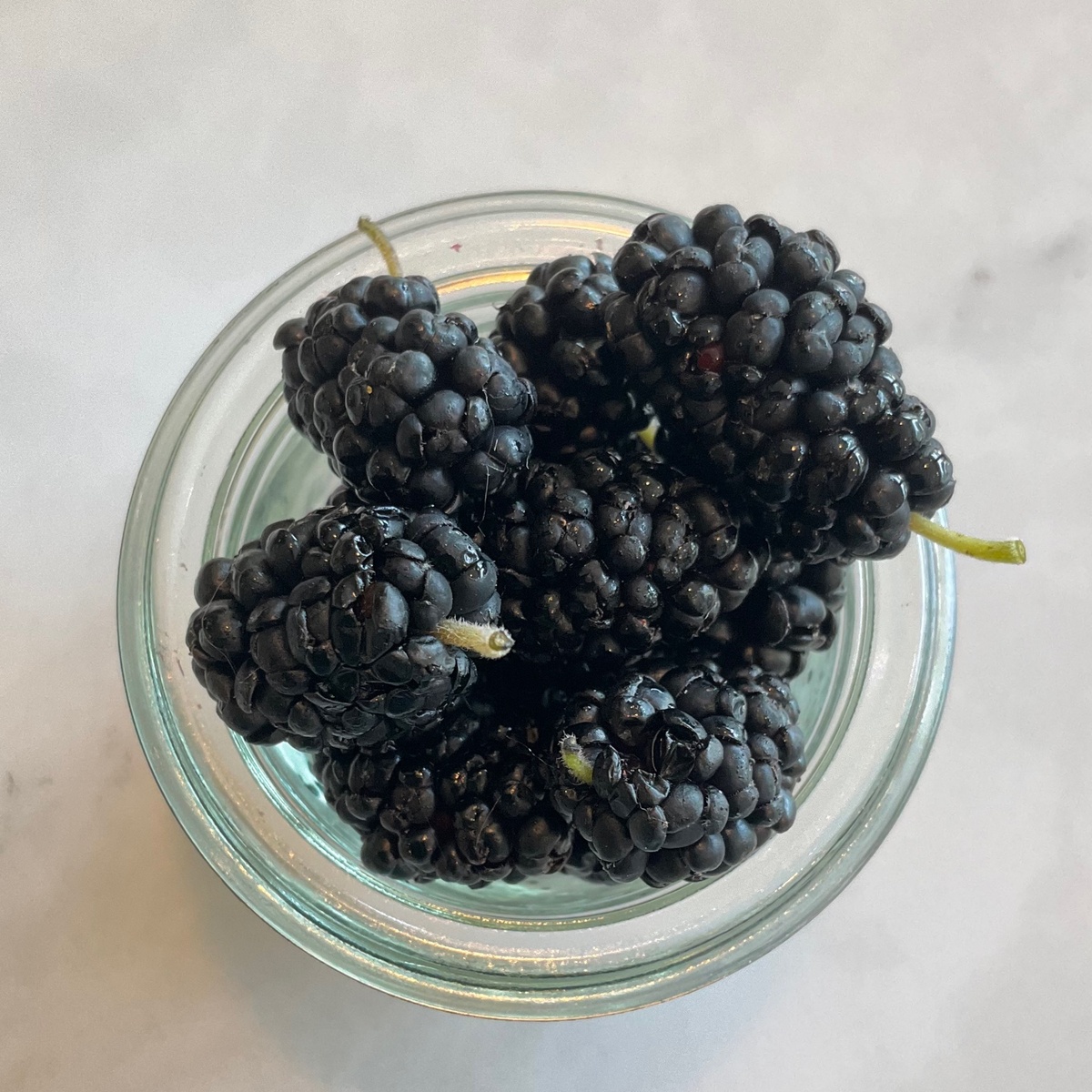 Bridgewater Farms Mulberries, USDA Organic