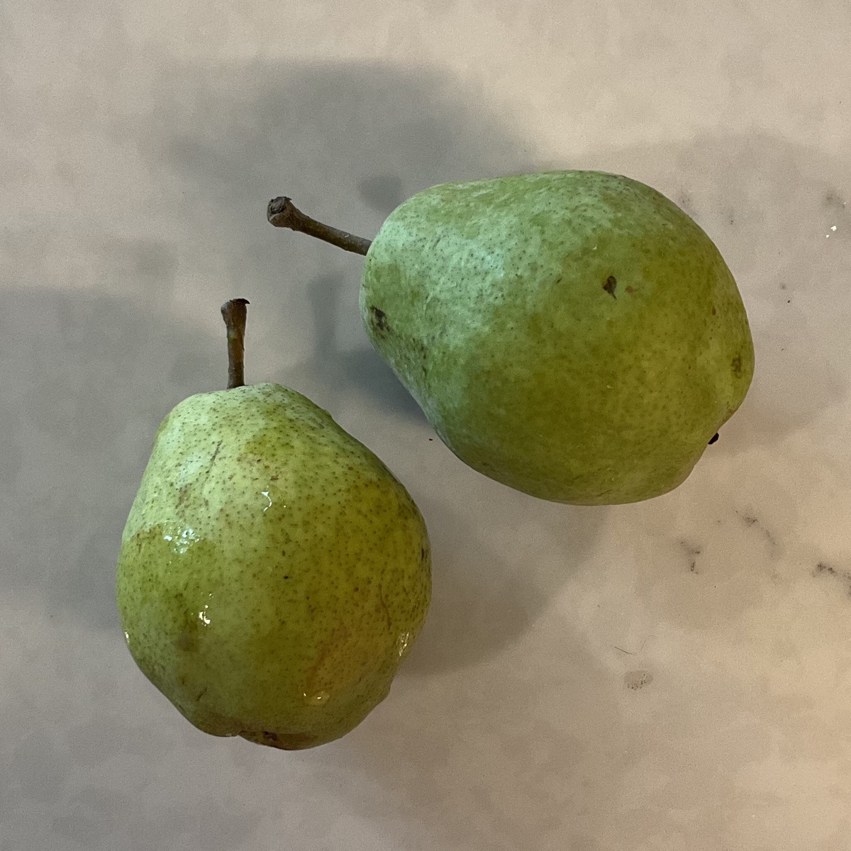 Bridgewater Farm Pears, Kieffer, Organic