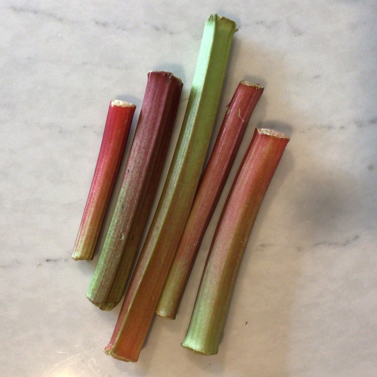 Benson Bounty Rhubarb