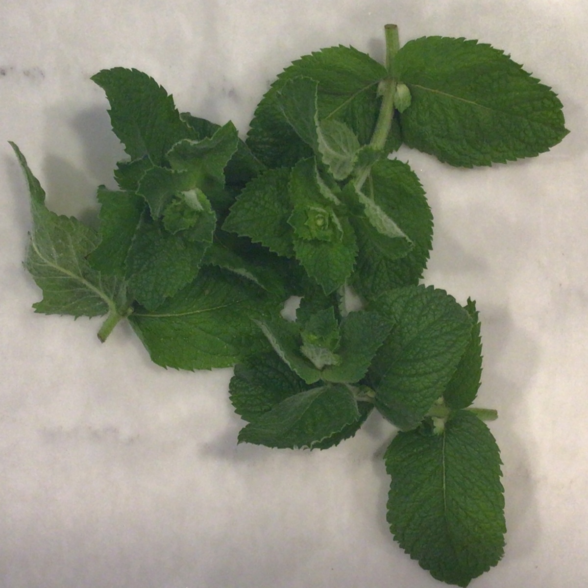 Benson Bounty Apple Mint, Fresh ($2/oz)