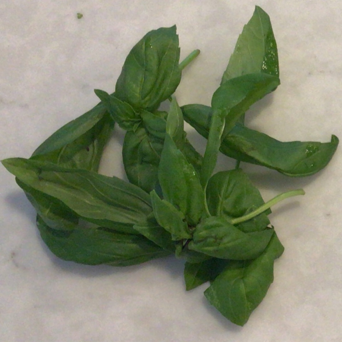 exist green Basil, Fresh ($2/oz)