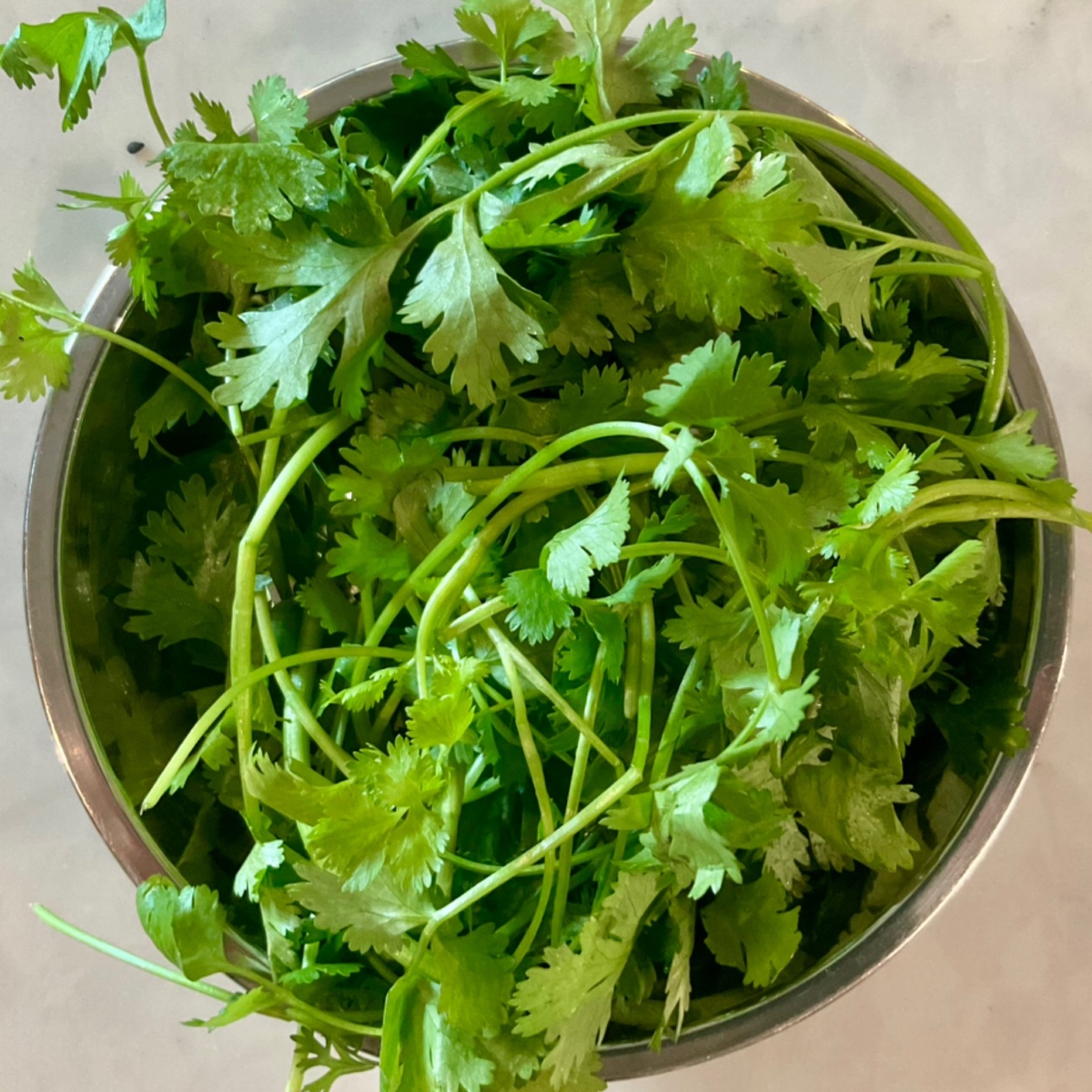 Early Morning Harvest Cilantro, Fresh ($2.5/oz)