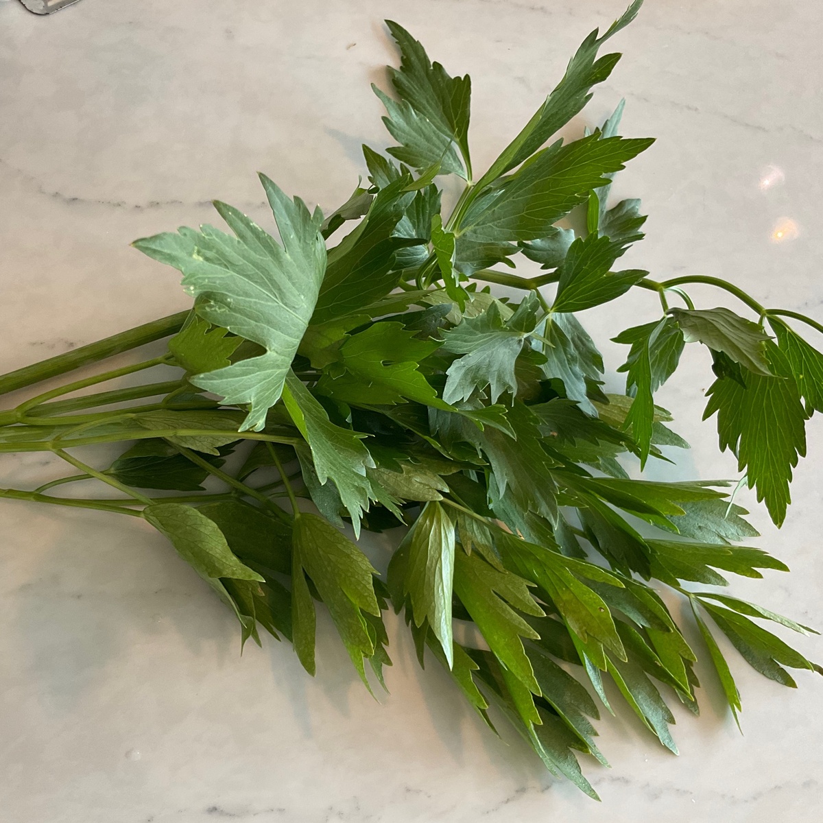 Benson Bounty Lovage, Fresh ($2/oz)