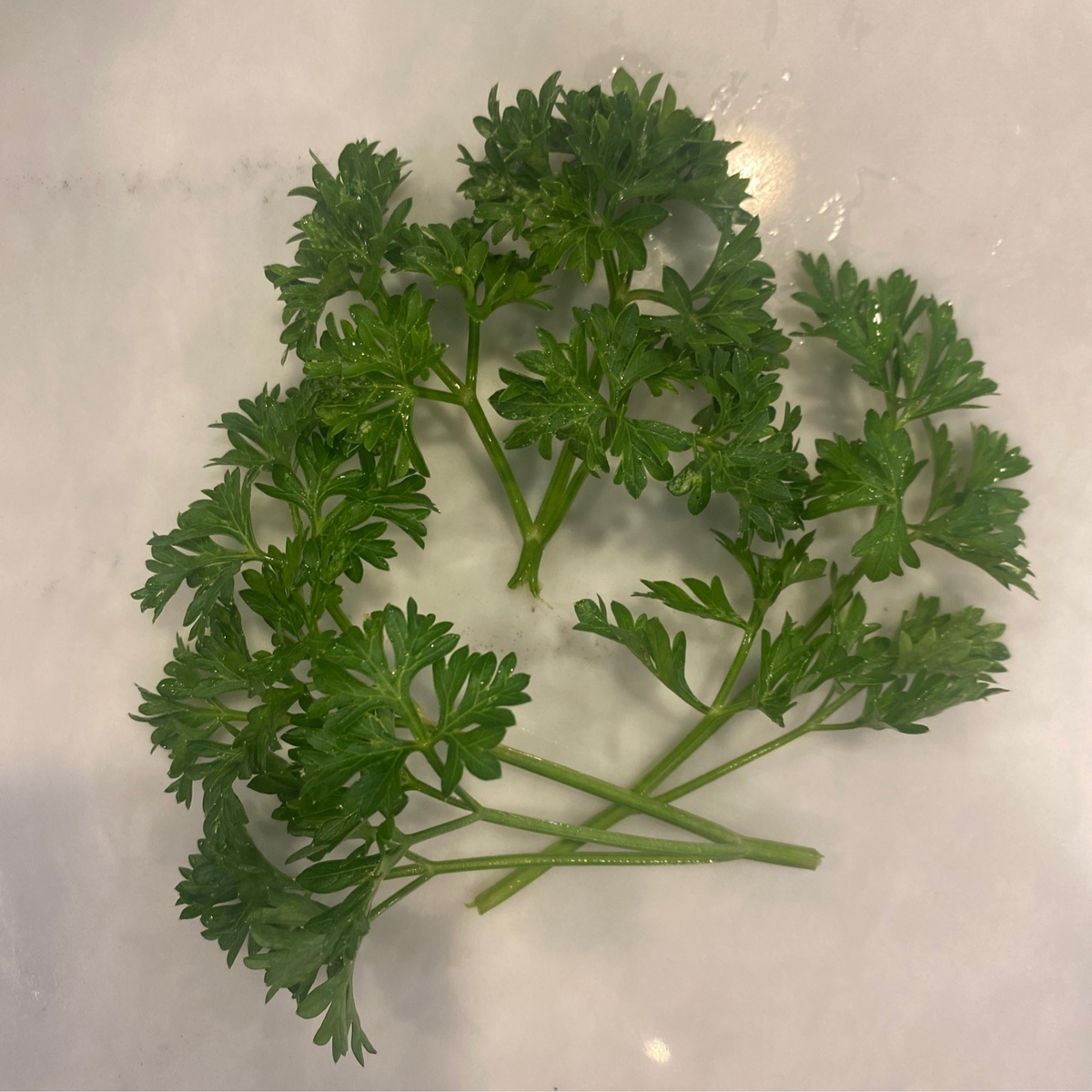 exist green Parsley, Fresh, Curly Leaf ($1.5/oz)