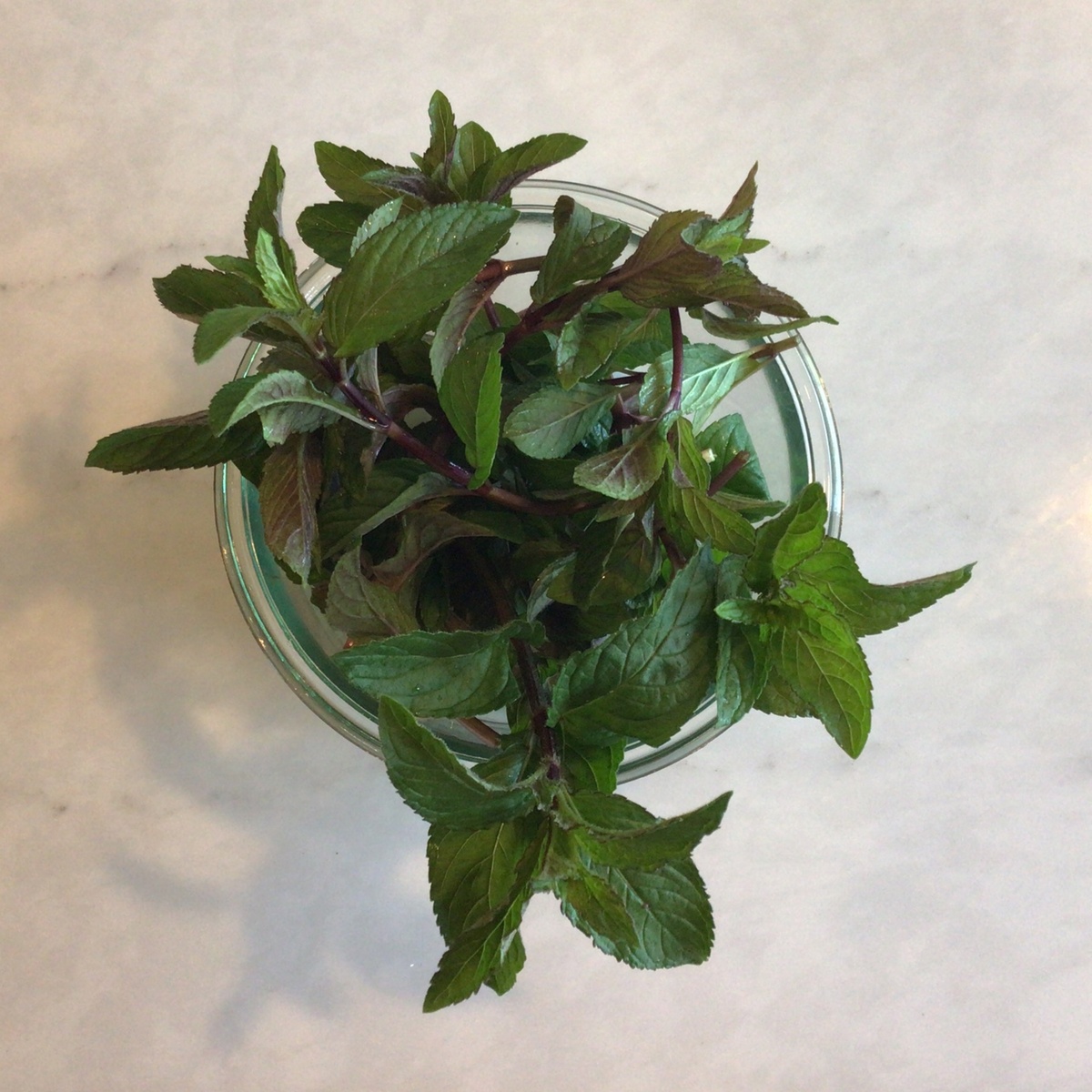 exist green Peppermint, Fresh ($3/oz)