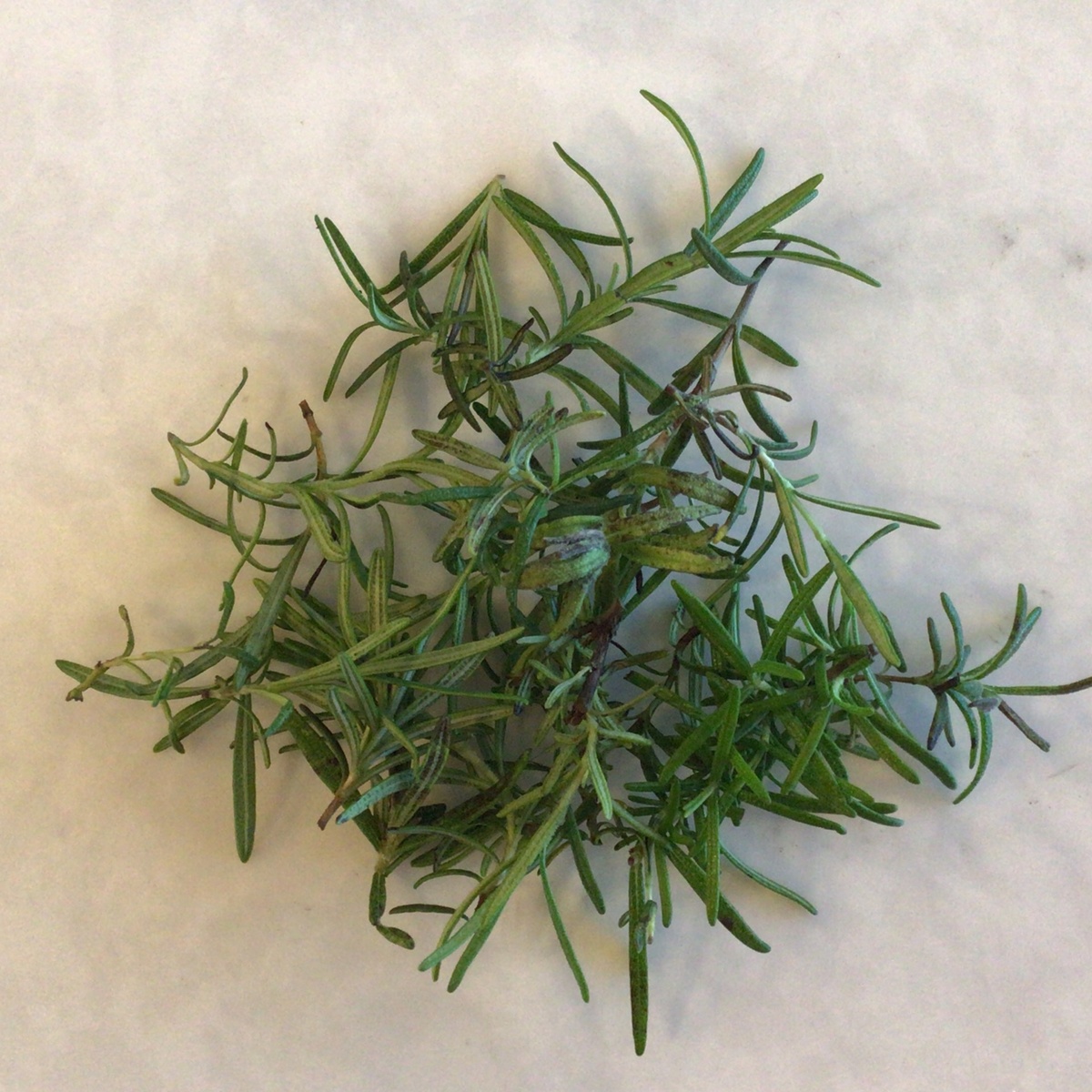 exist green Rosemary, Fresh ($5.5/oz)