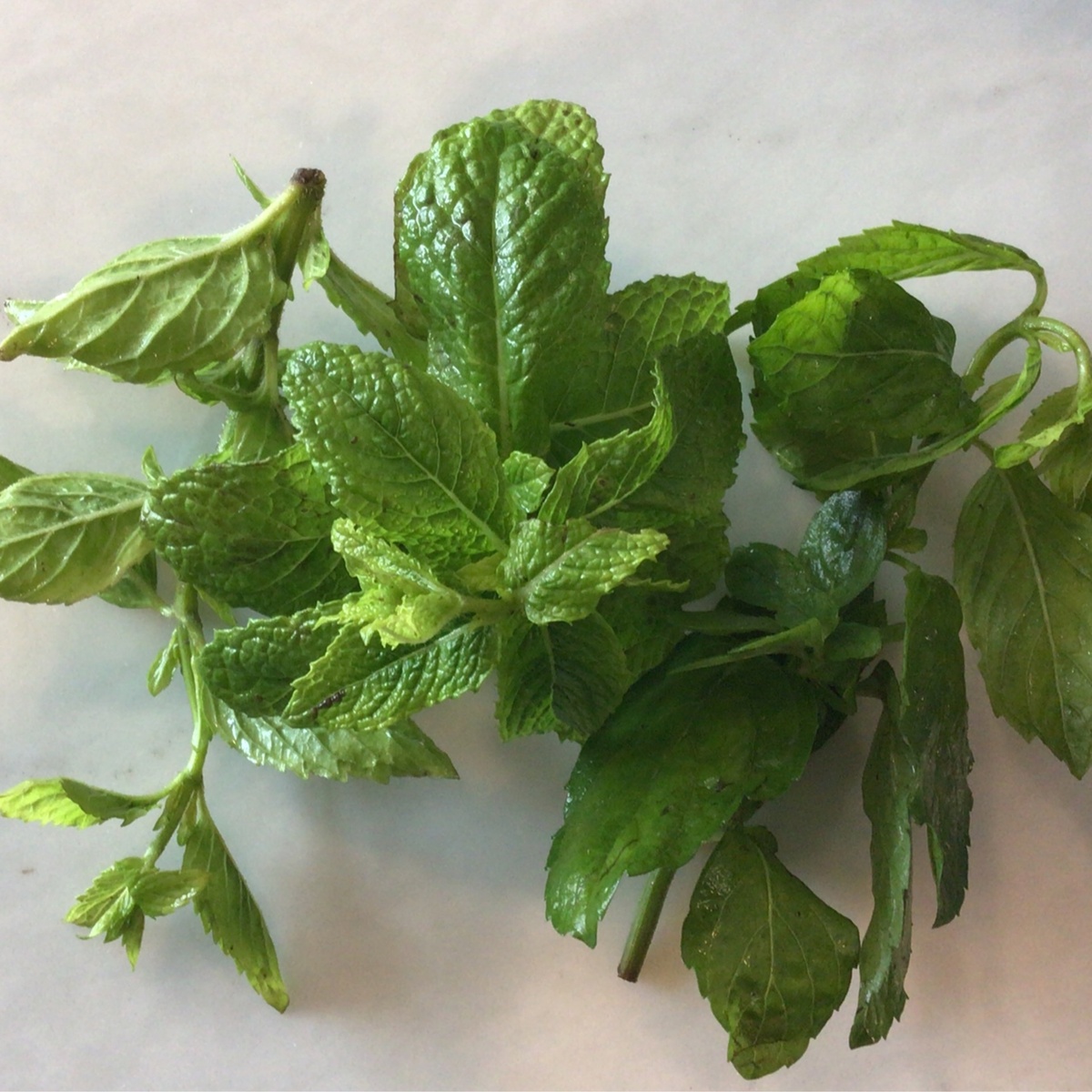 exist green Spearmint, Fresh
