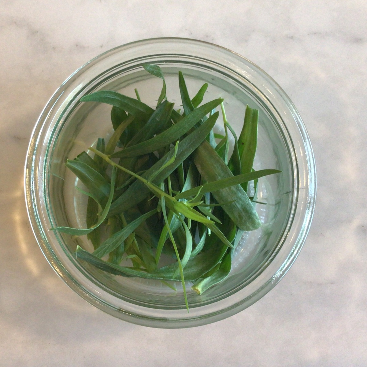 Benson Bounty Tarragon, Fresh ($2/oz)