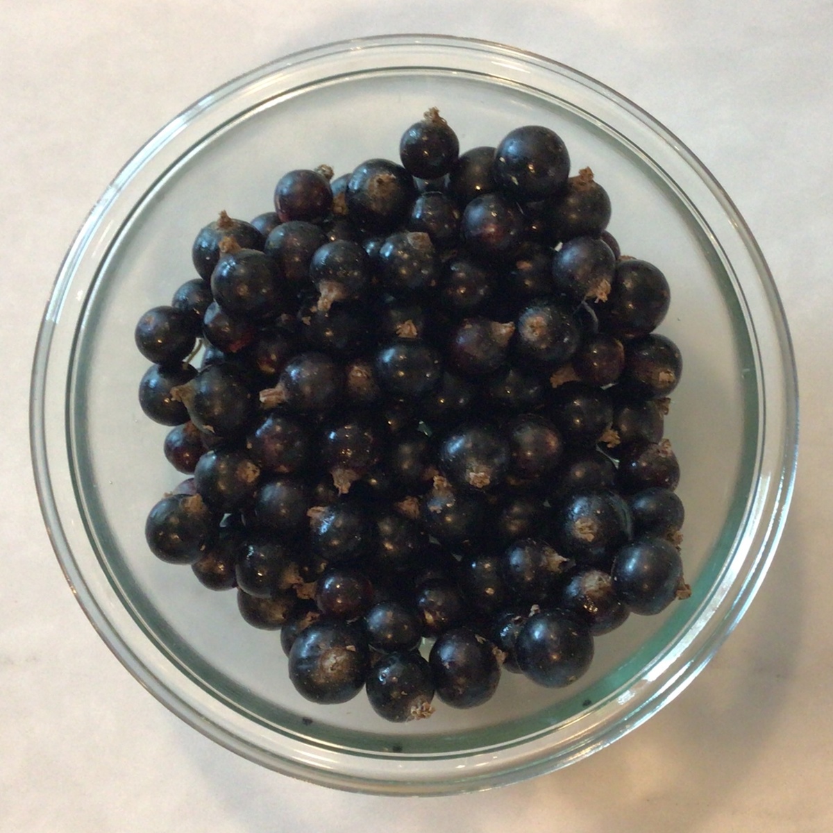 Meristem Farms Black Currants, USDA Organic ($0.75/oz)