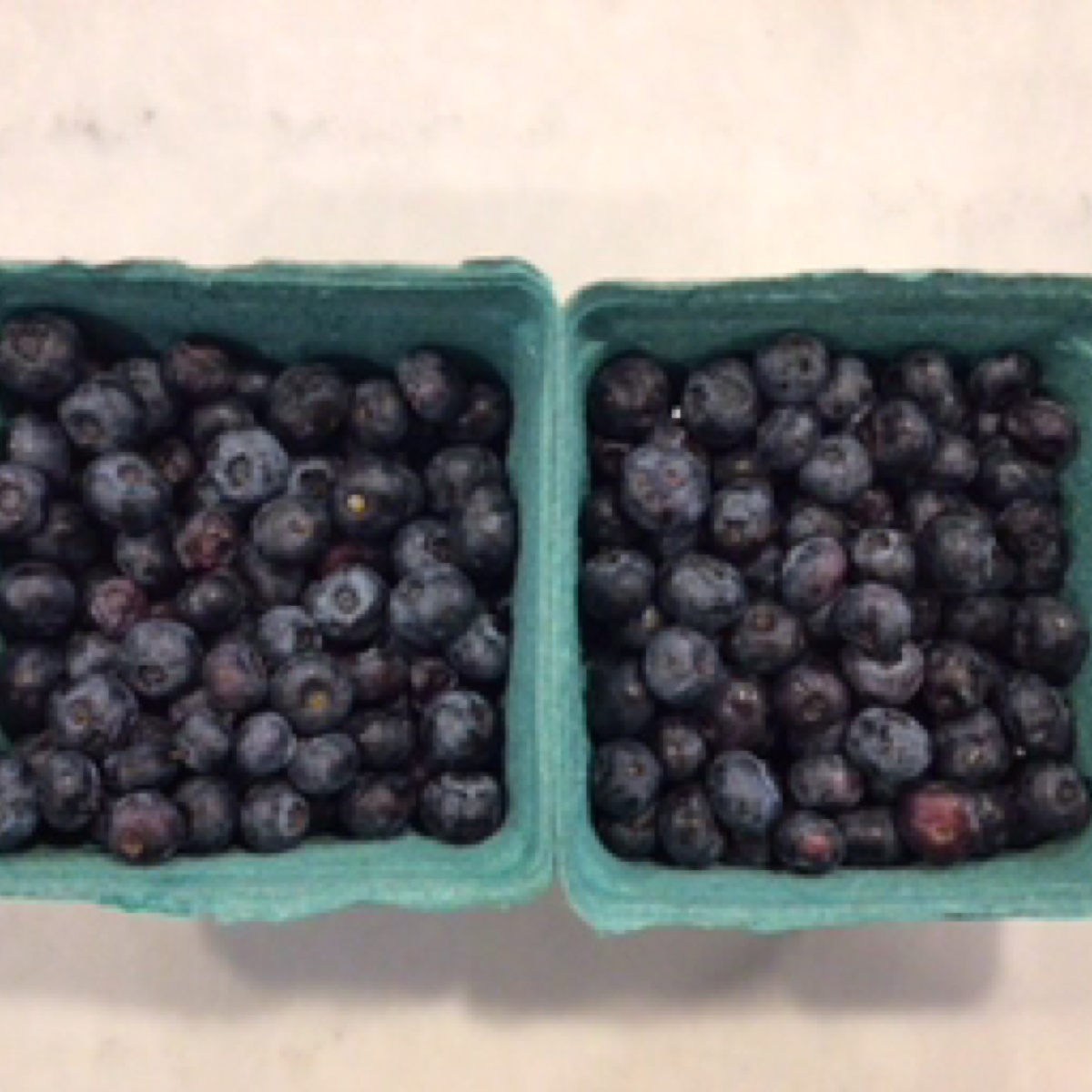 State Line Produce Blueberries, Frozen chemical-free