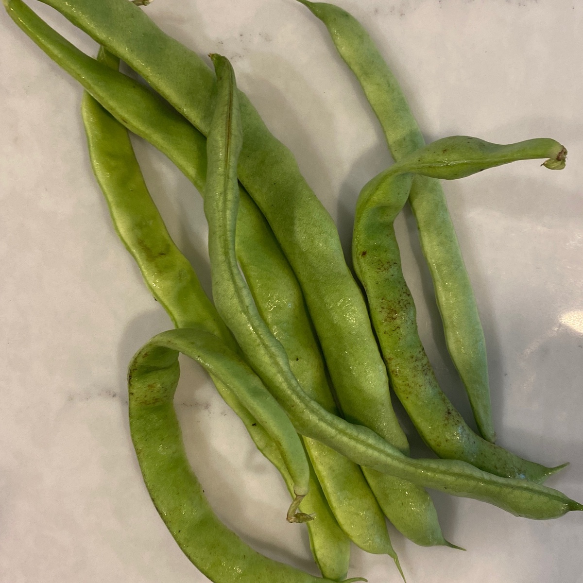 Jorge's Organics Green Beans, Italian Flat Pod (Frozen)