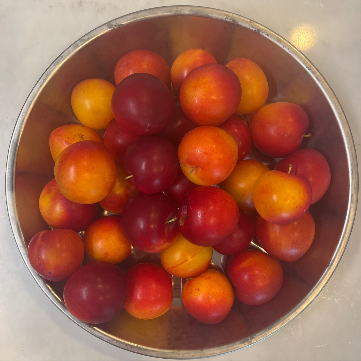 Iowa Food Hub Plums, Red, Waneta, Frozen