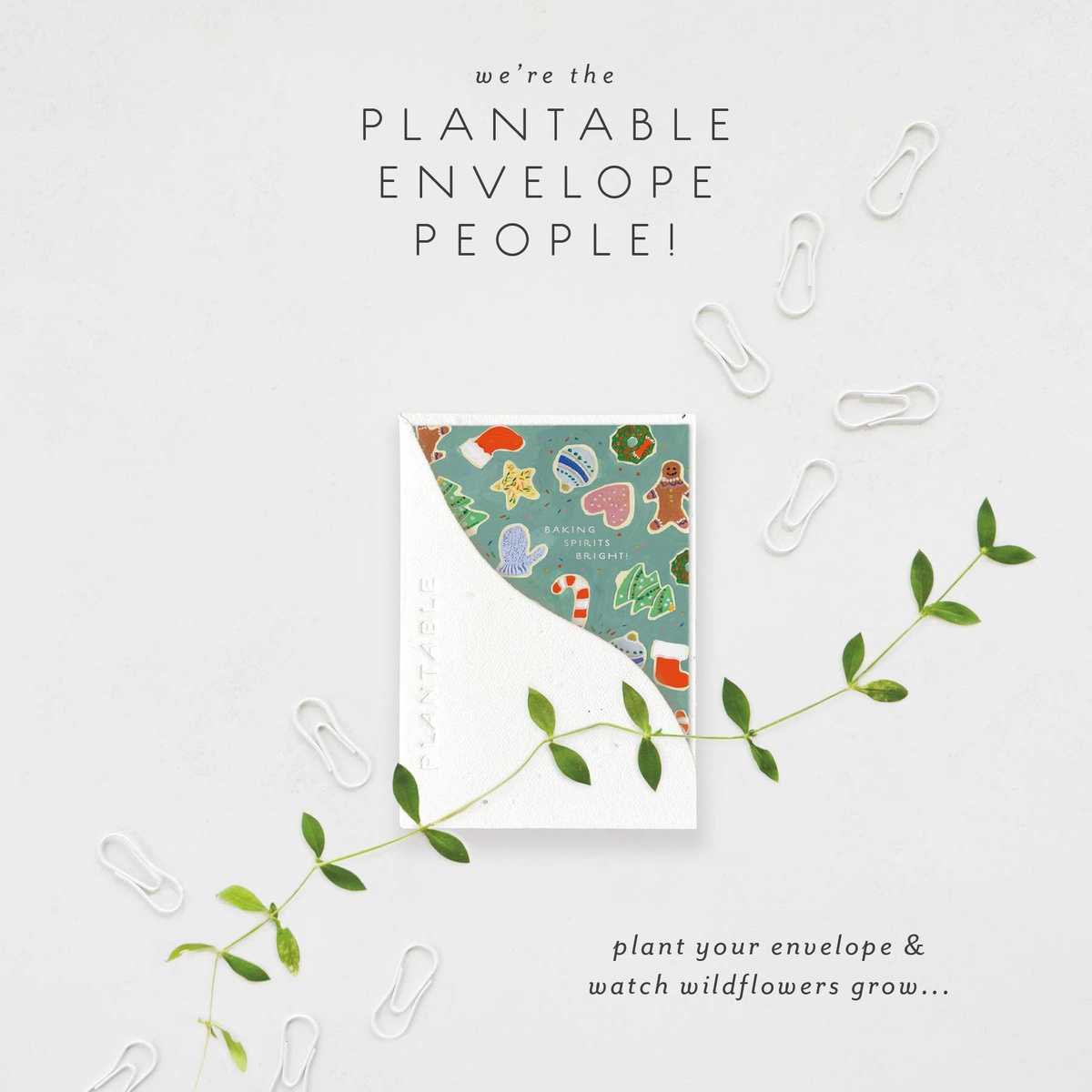 Seedlings Card - "Sprouts" - Holiday Mini Cards biodegradable - image 2